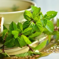 filizanka-zielonej-herbaty
